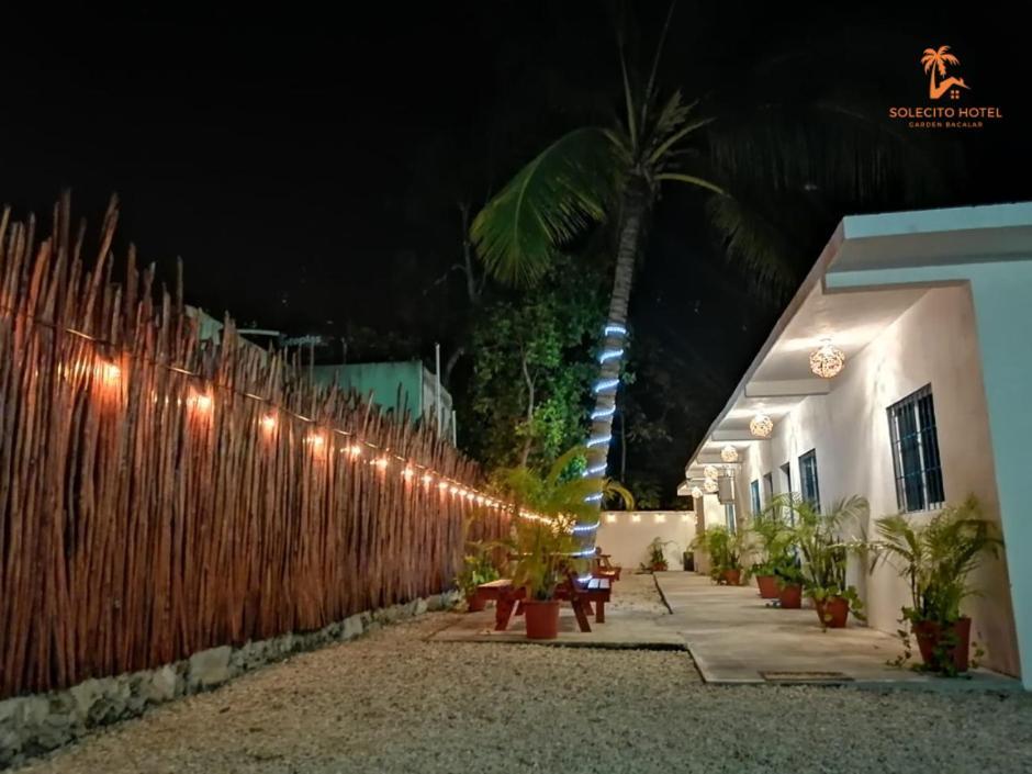 Hotel Apartaments Solecito Bacalar - Free Bikes & Paddle Eksteriør billede